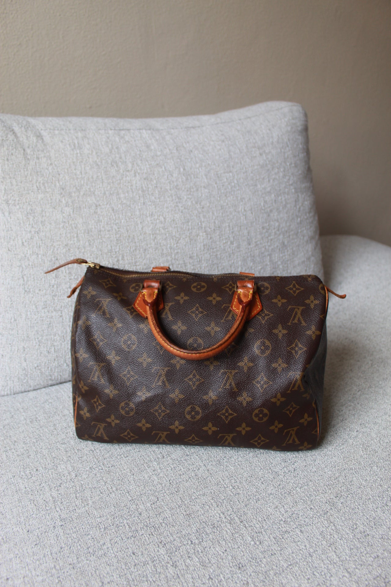 Louis Vuitton Speedy 30