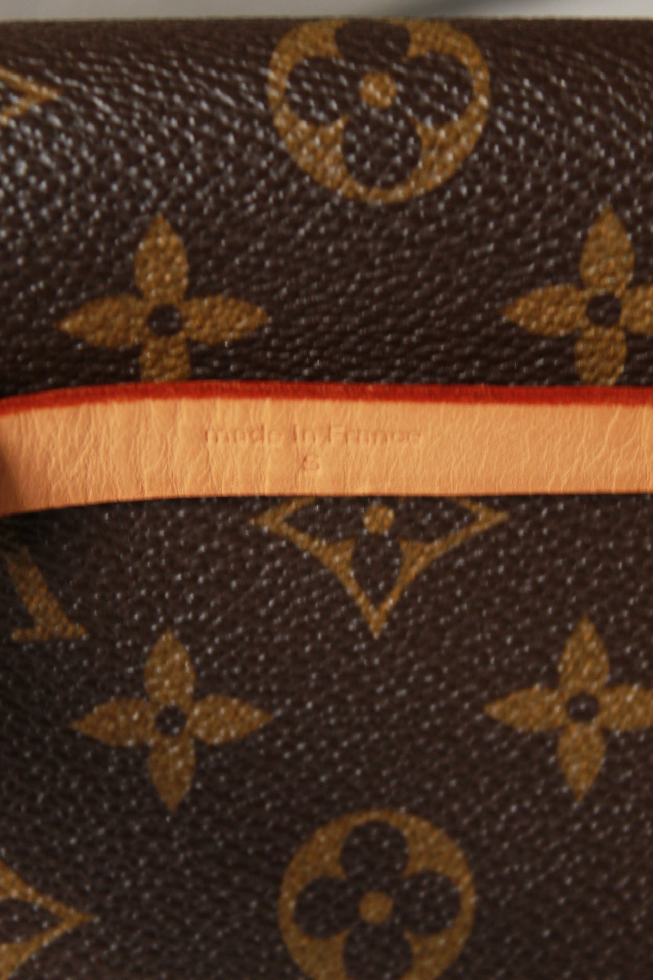 Louis Vuitton Florentine