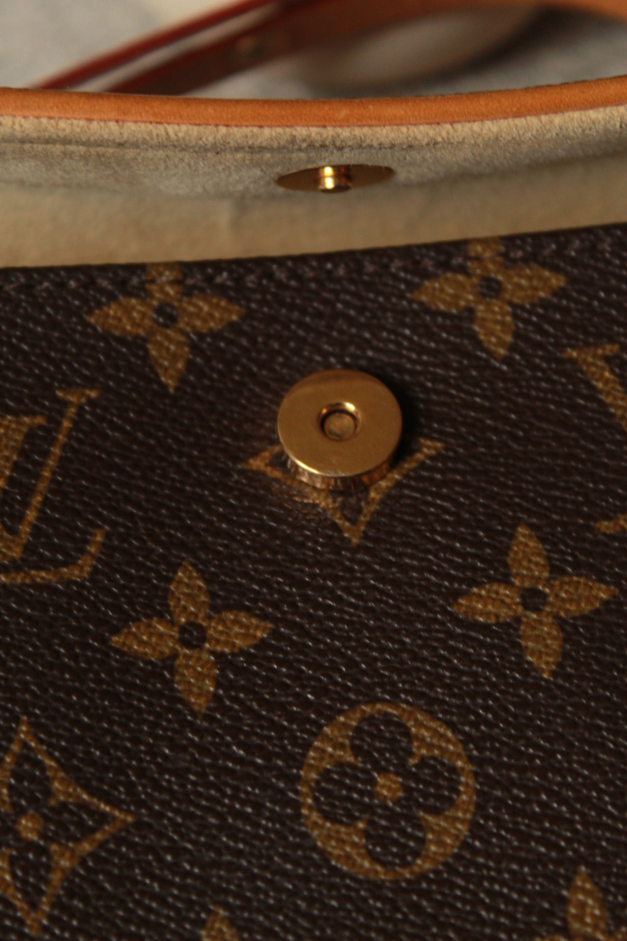 Louis Vuitton Florentine