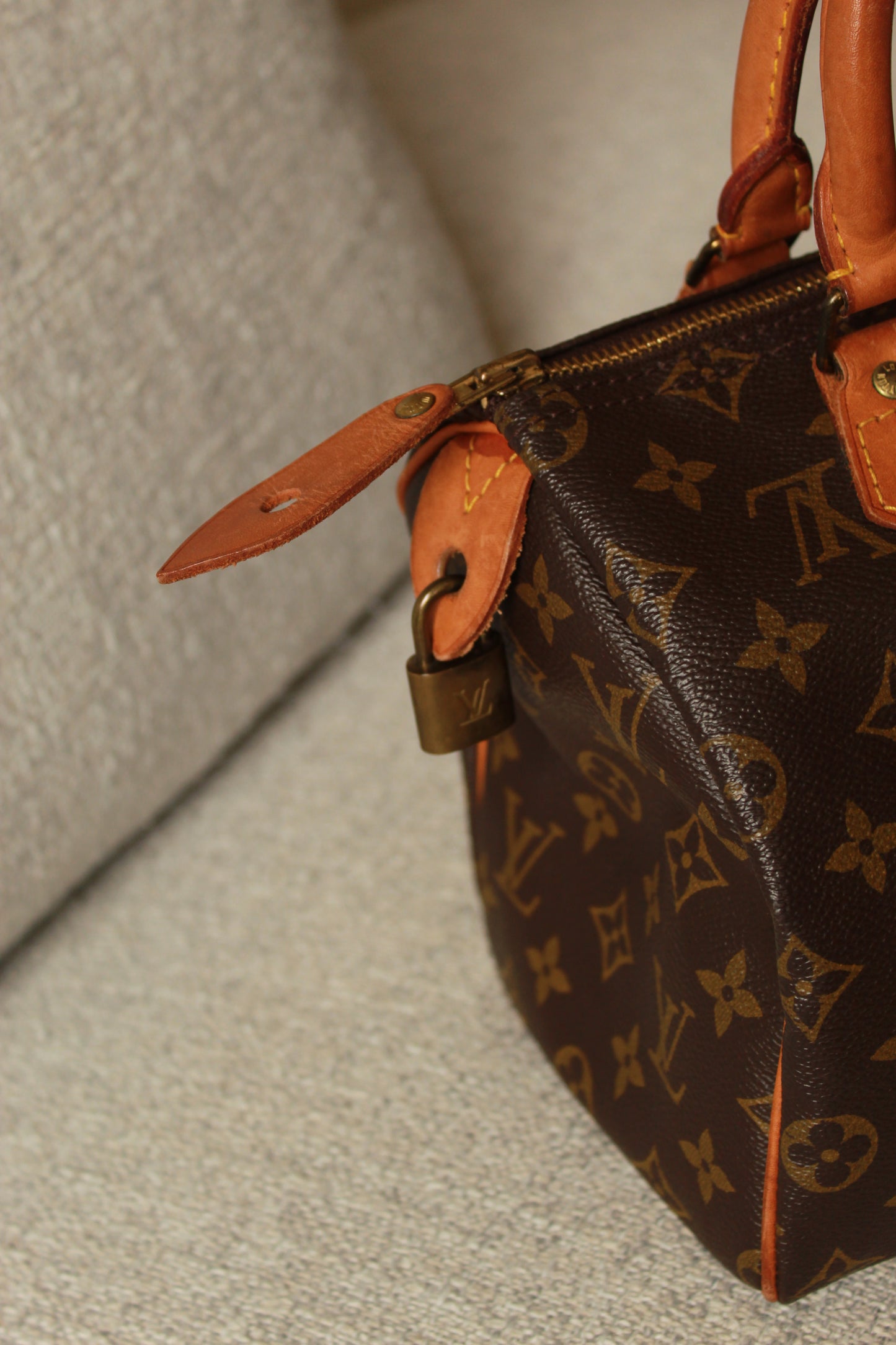 Louis Vuitton Speedy 25