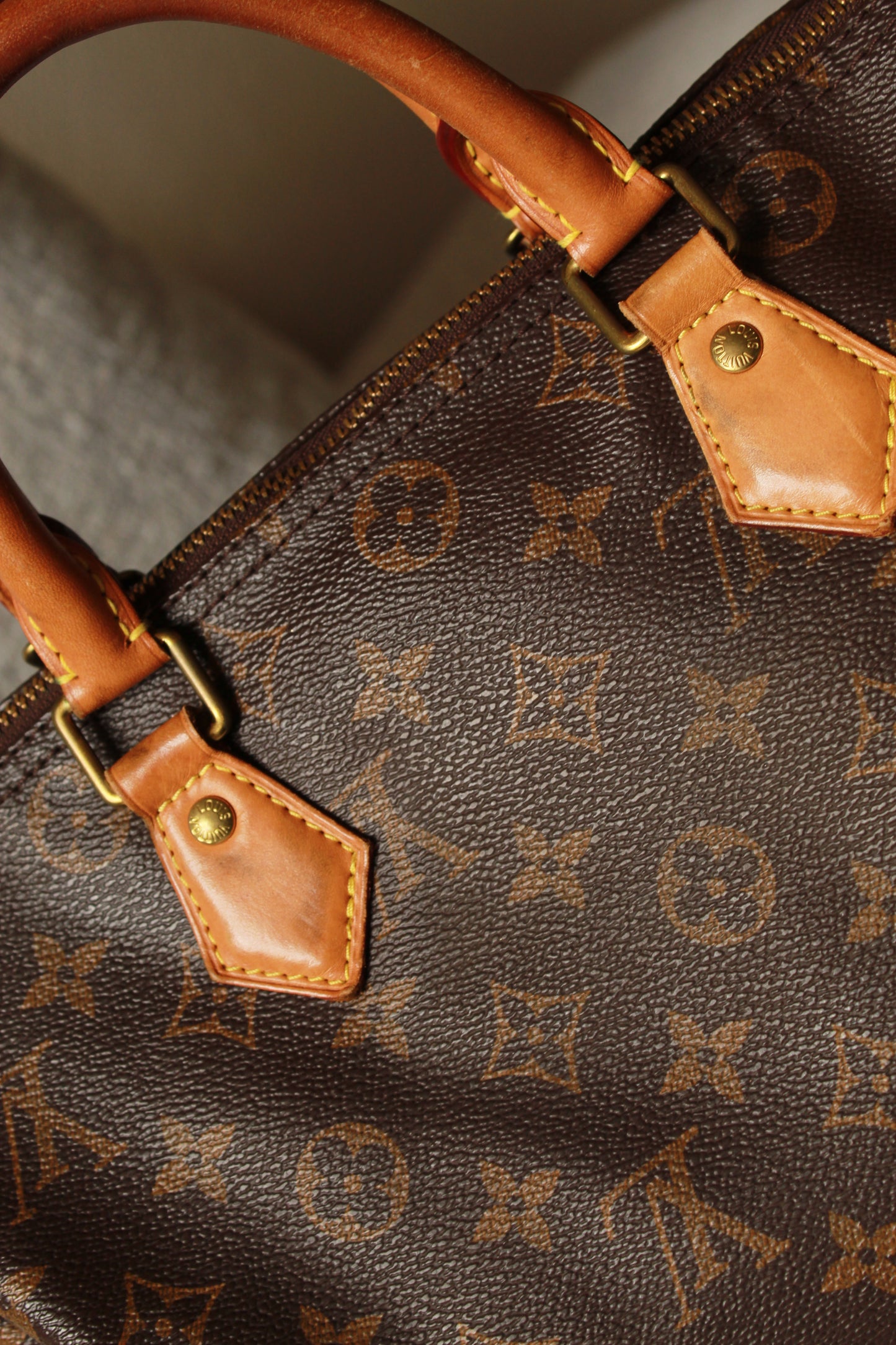 Louis Vuitton Speedy 30