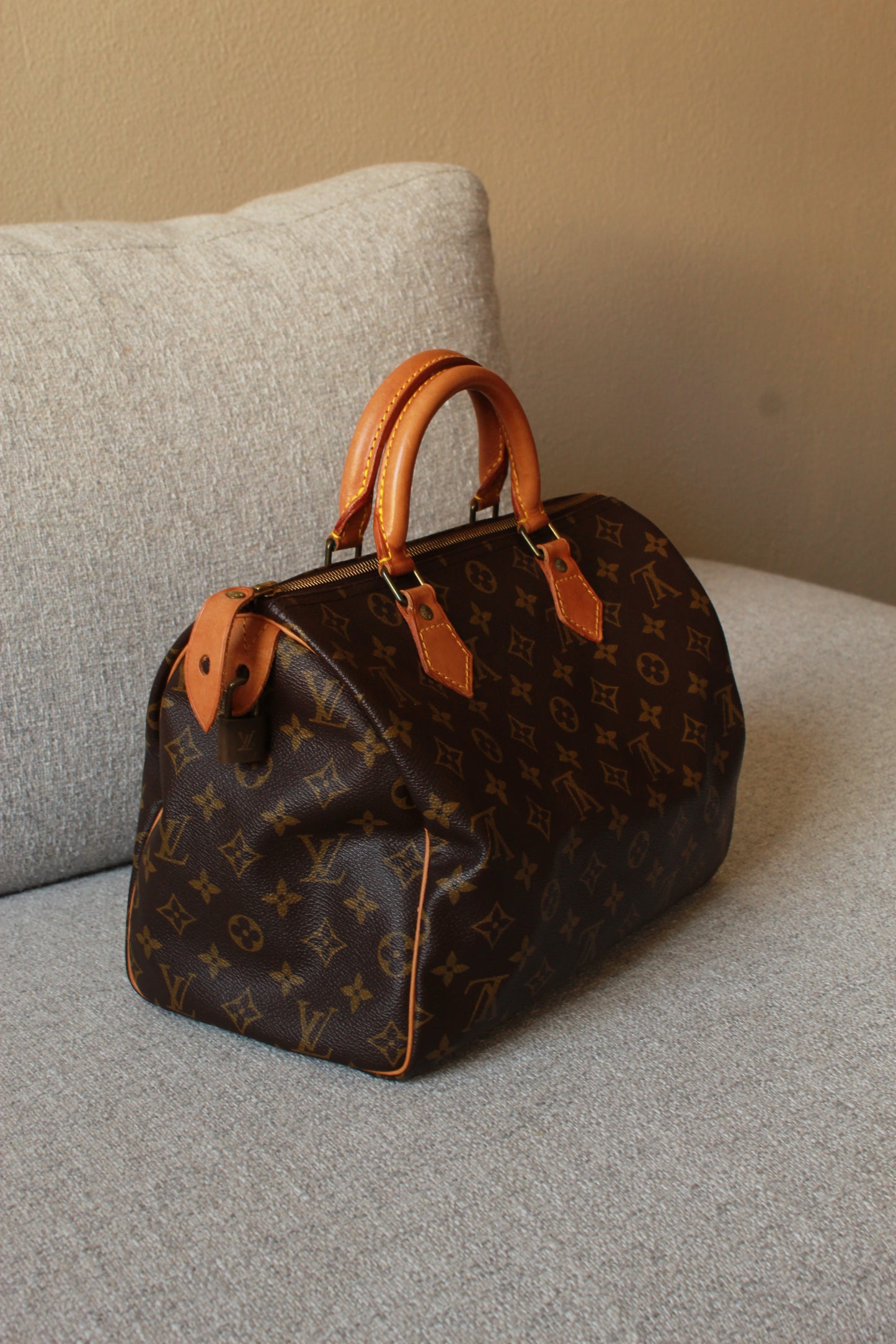Louis Vuitton Speedy 30