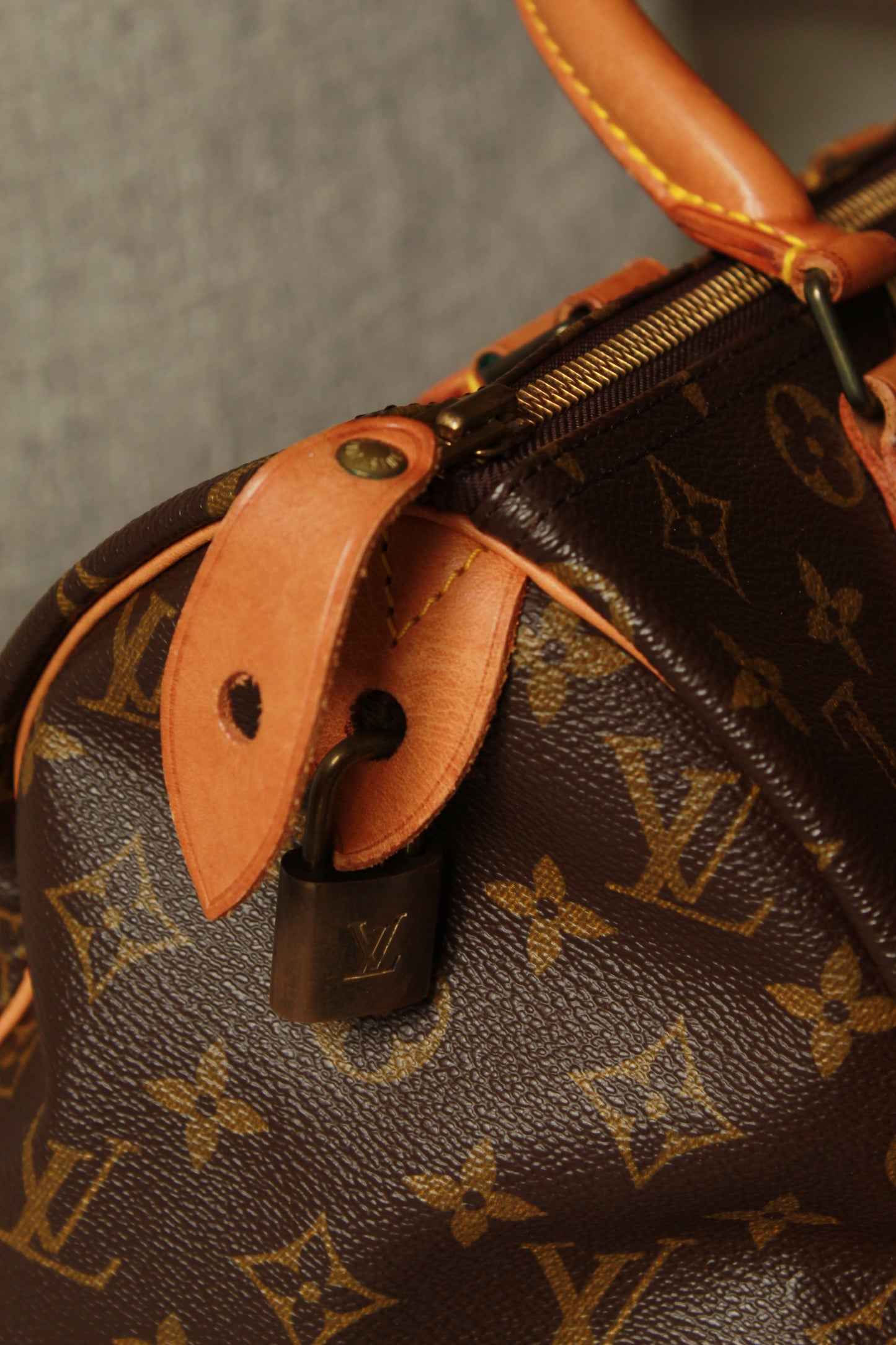 Louis Vuitton Speedy 30