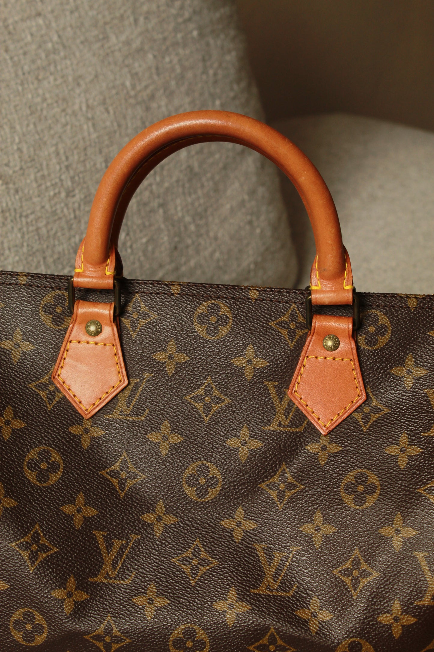 Louis Vuitton Speedy 30
