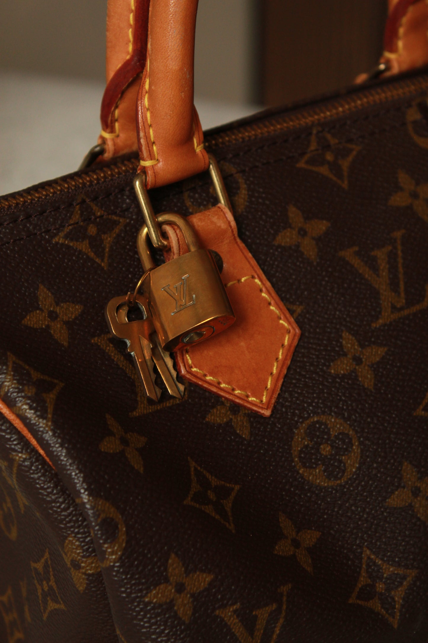 Louis Vuitton Speedy 25