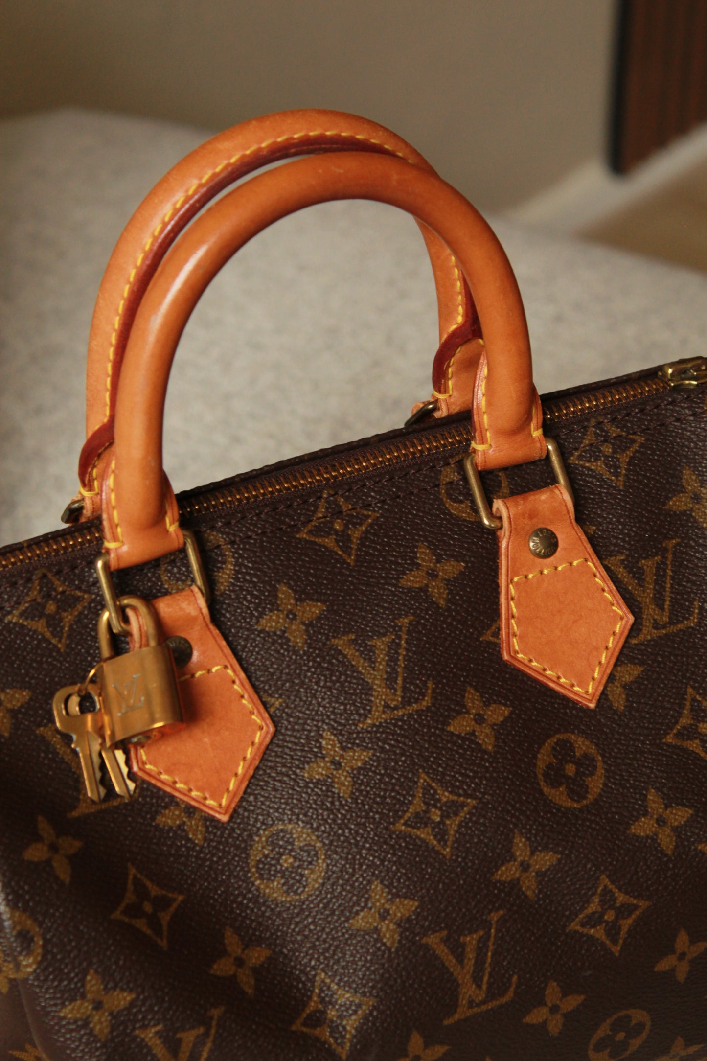 Louis Vuitton Speedy 25