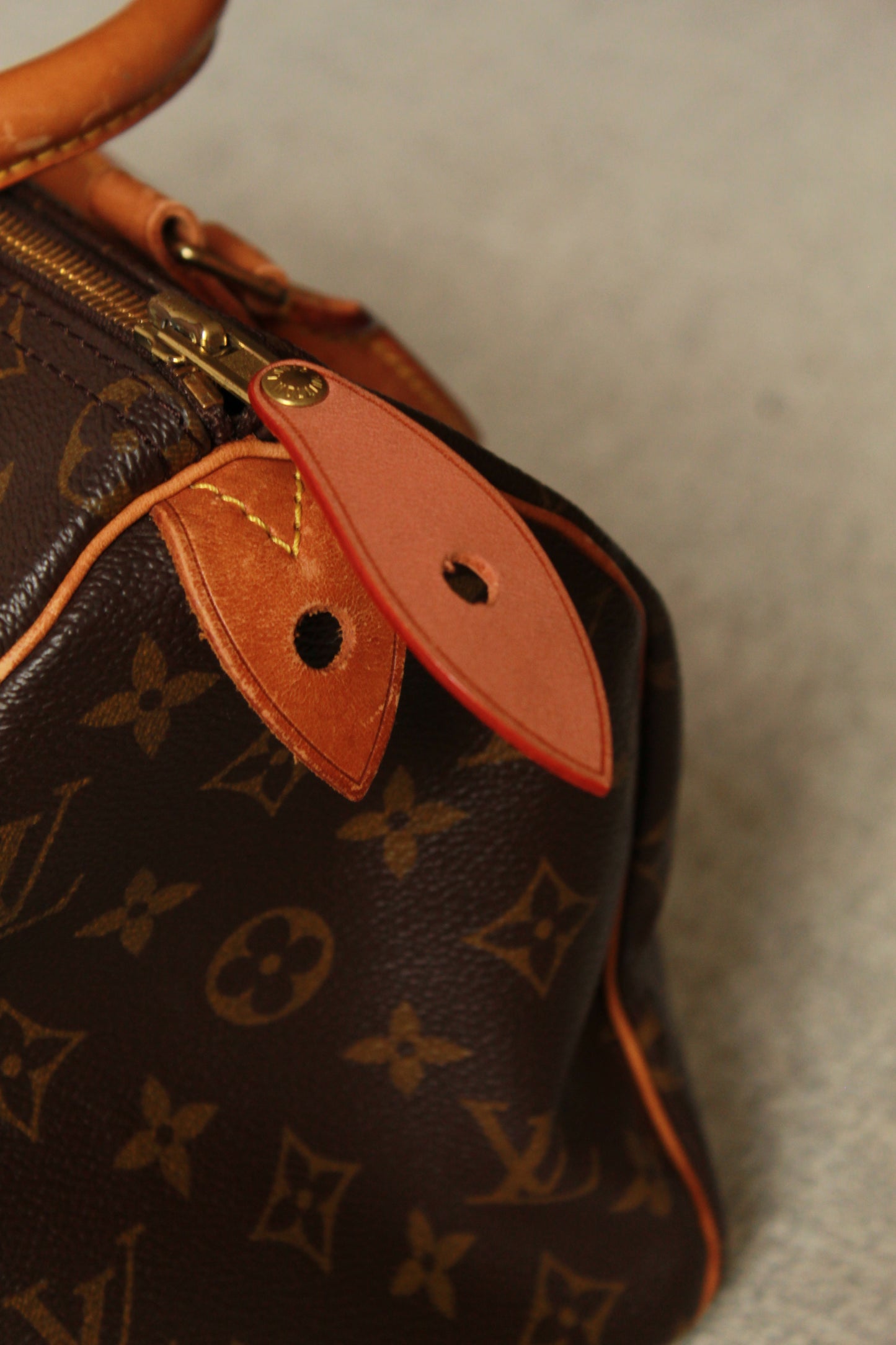 Louis Vuitton Speedy 25
