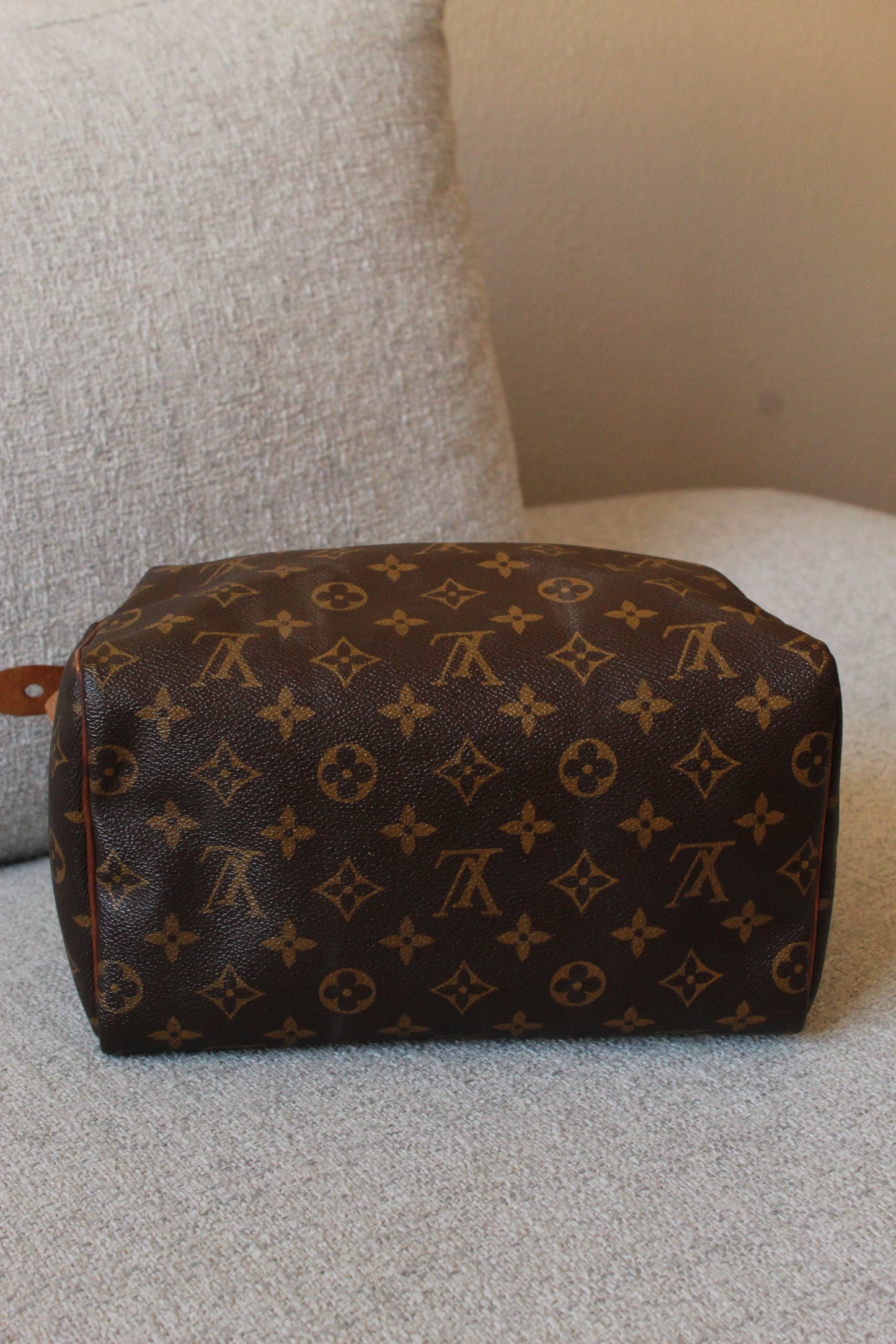 Louis Vuitton Speedy 25