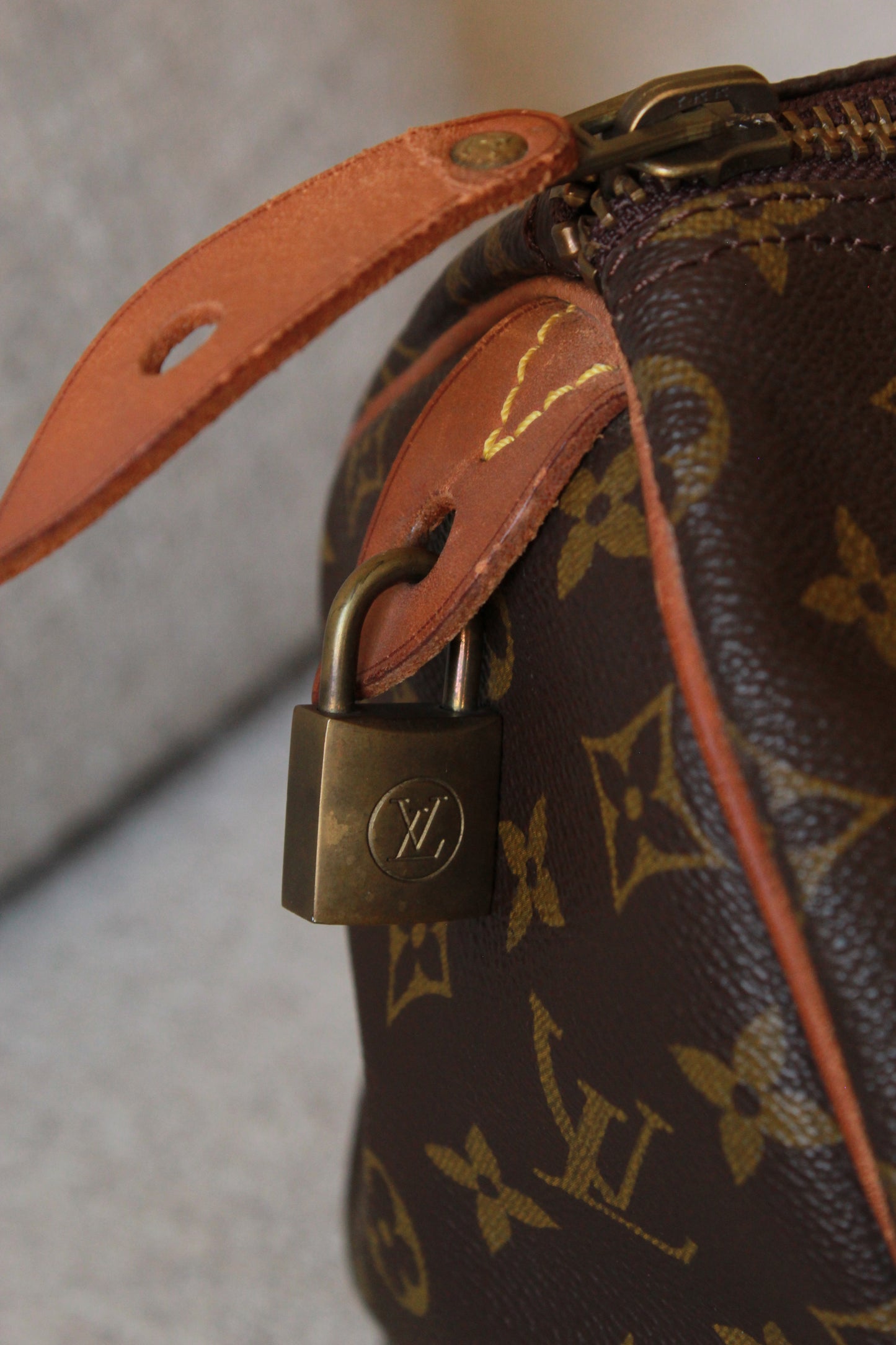 Louis Vuitton Speedy 30